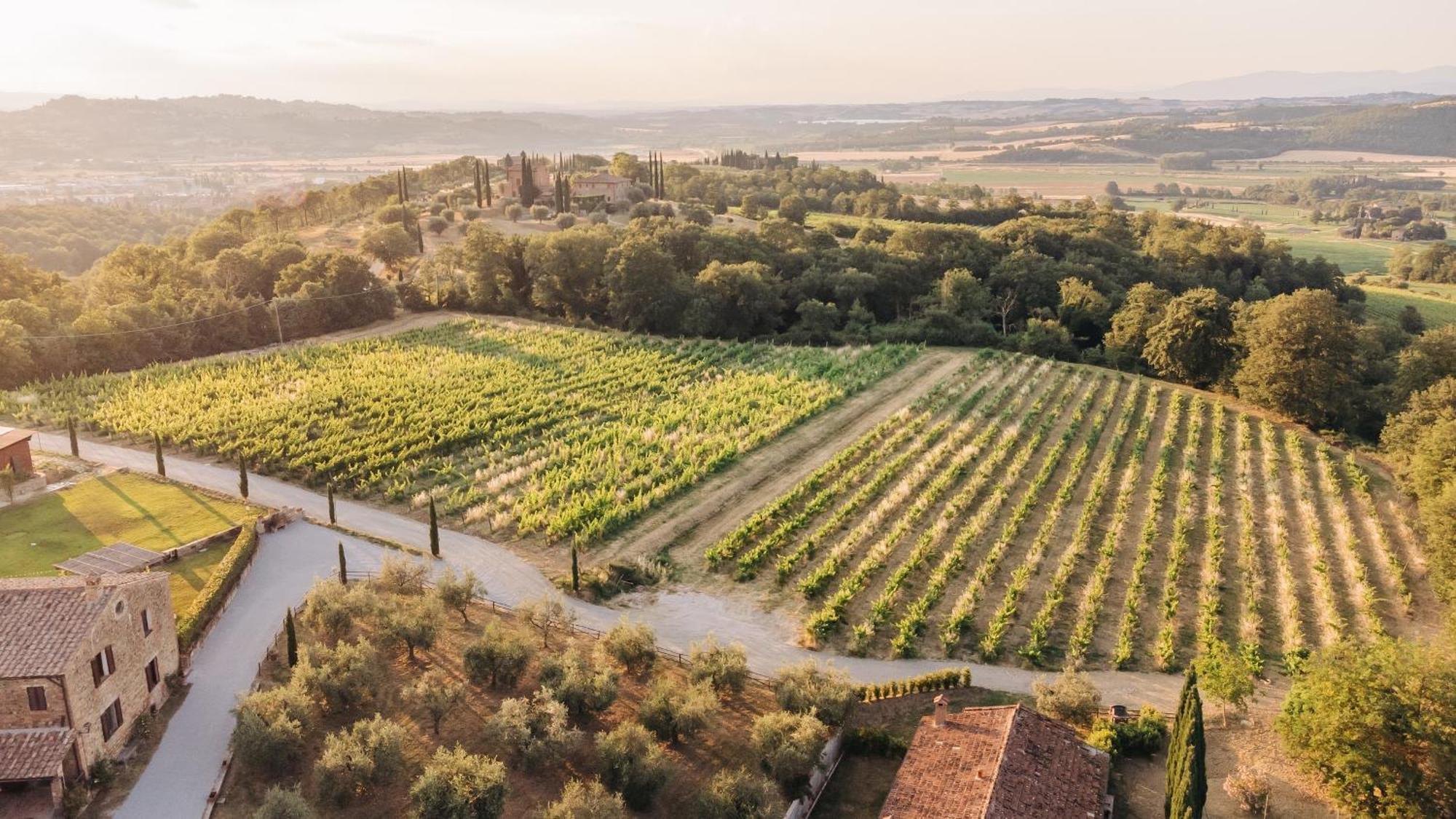 Villa Borgo Siliano - Antico Podere Siliano Città della Pieve Exterior foto